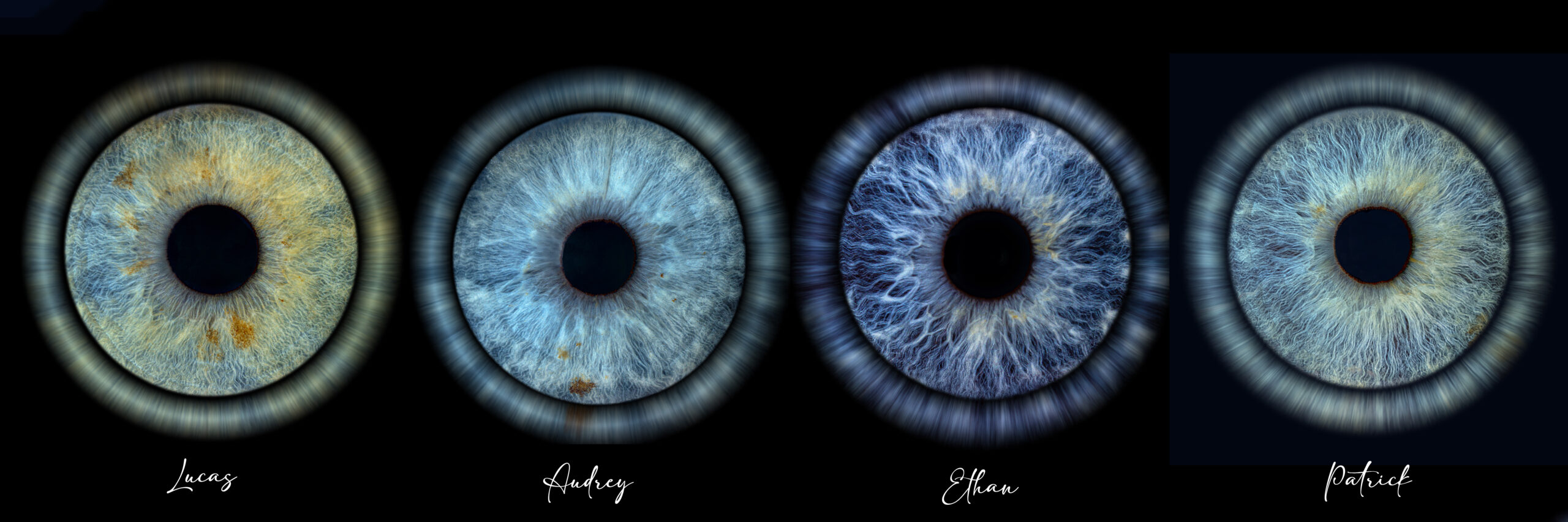 Iris